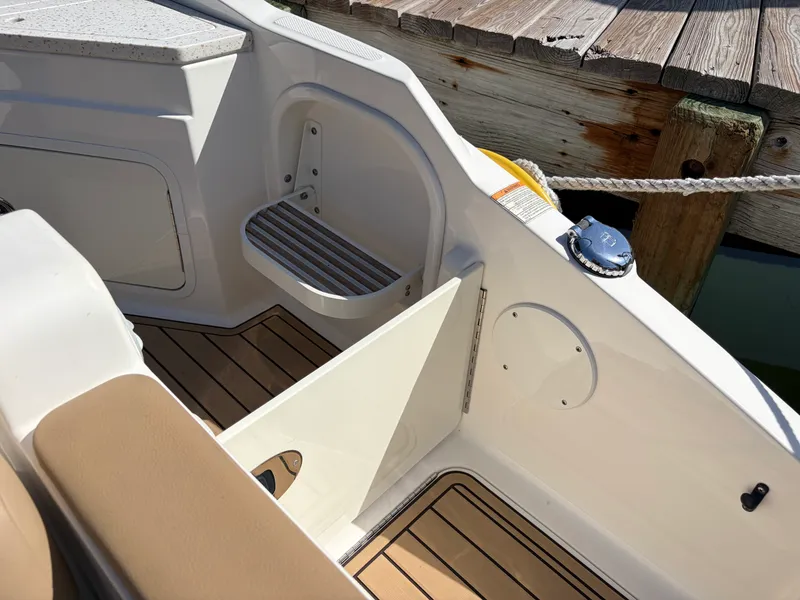 Slide: The Image of Sea Ray 290 SDX 2021 - 15