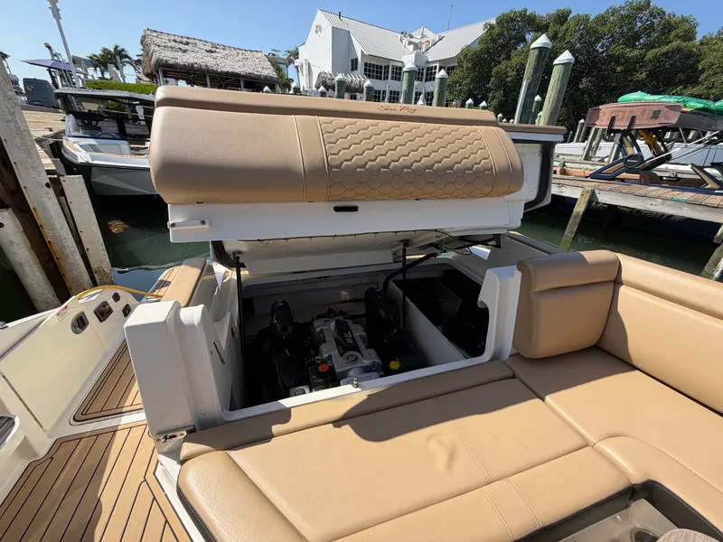 Slide: The Image of Sea Ray 290 SDX 2021 - 74