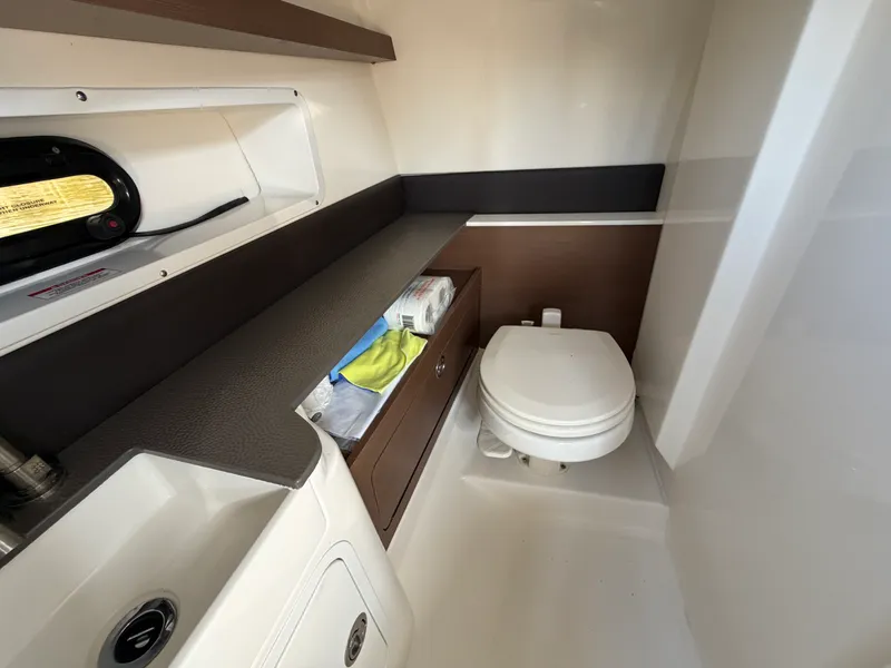 Slide: The Image of Sea Ray 290 SDX 2021 - 33