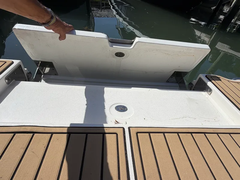 Slide: The Image of Sea Ray 290 SDX 2021 - 9