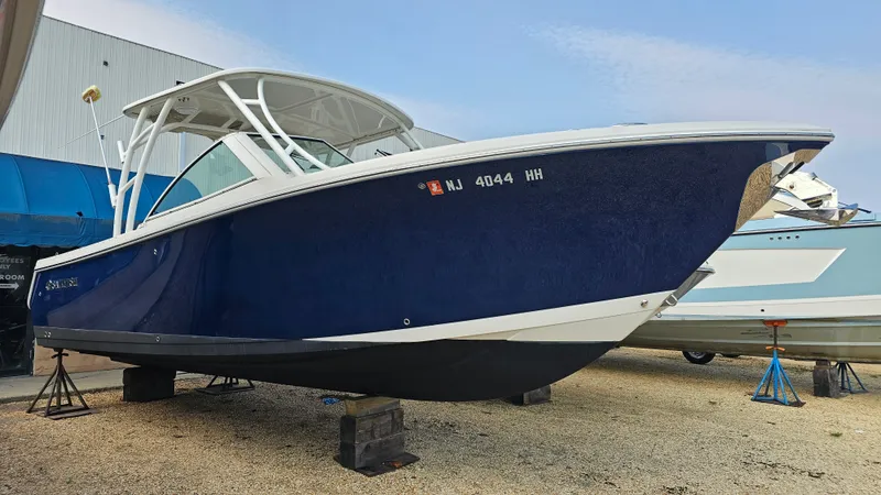 The Image of Sailfish 275 DC 2016 - 0
