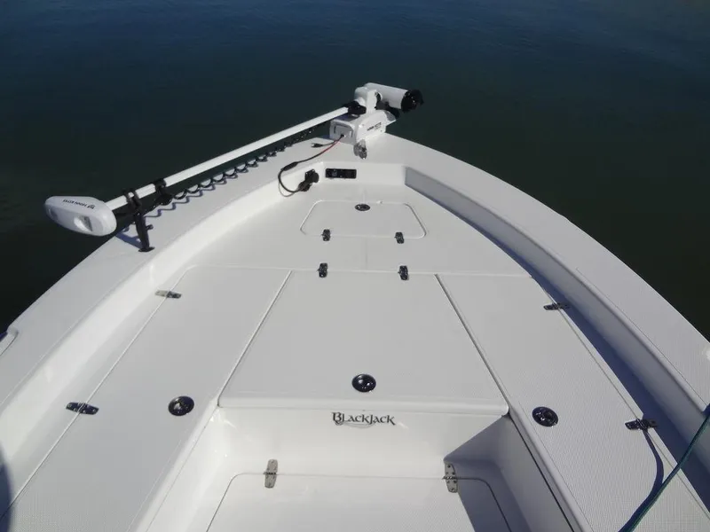 Slide: The Image of 2024 BlackJack 256 Bay boat deck with trolling motor, on calm water. - 14