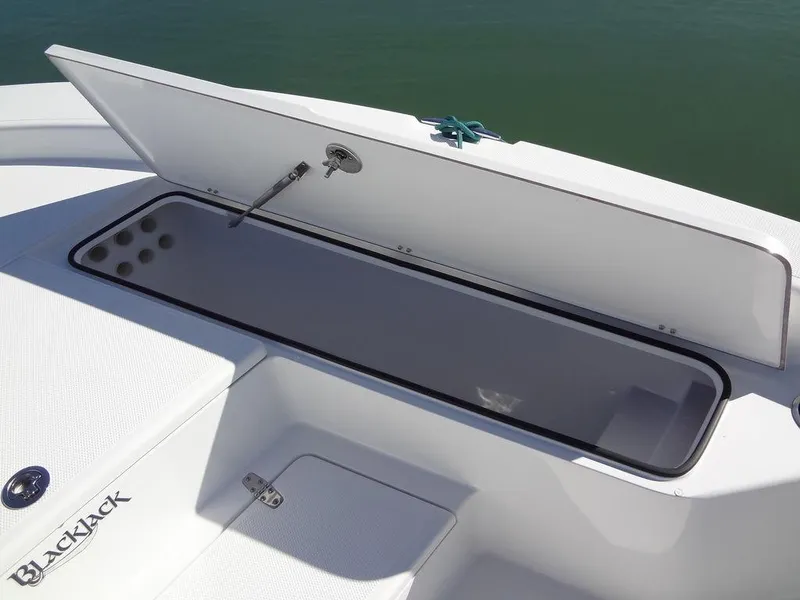 Slide: The Image of 2024 BlackJack 256 Bay boat storage compartment open on deck. - 18