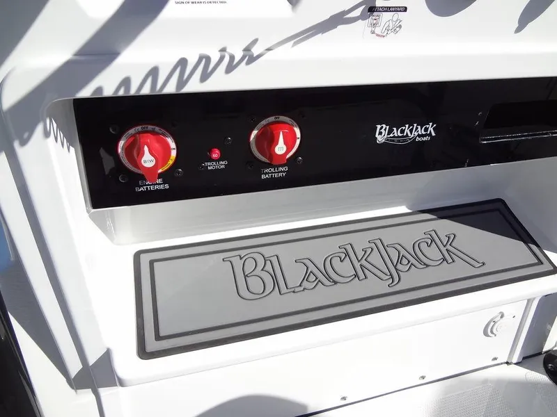Slide: The Image of 2024 BlackJack 256 Bay boat control panel with battery switches and logo. - 32