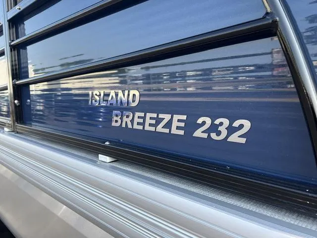 Slide: The Image of Landau IB 232 2023 - 4