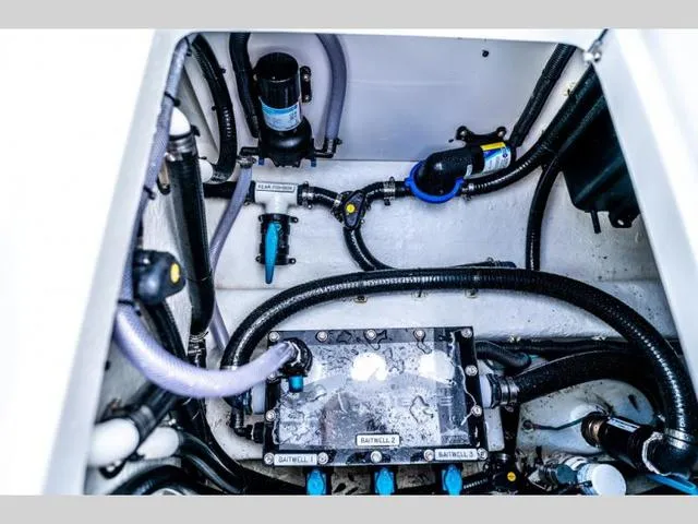 Slide: The Image of Invincible 37 Catamaran 2024 - 31