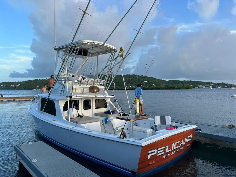 The Image of 1973 Bertram 31 boat docked, named "Pelican," with fishing rods, calm water, and scenic background. - 1