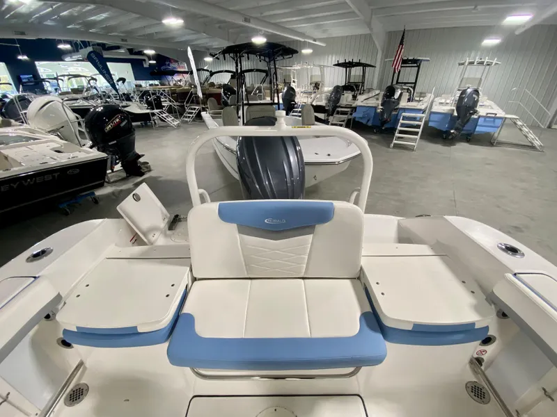 Slide: The Image of 2024 Robalo R207 Dual Console boat interior at a showroom. - 5