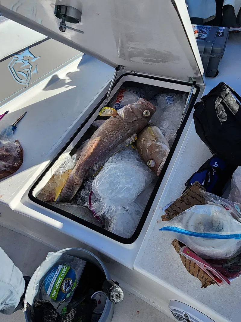 Slide: The Image of CG Boat Works 35 M-Series 2023 - 139