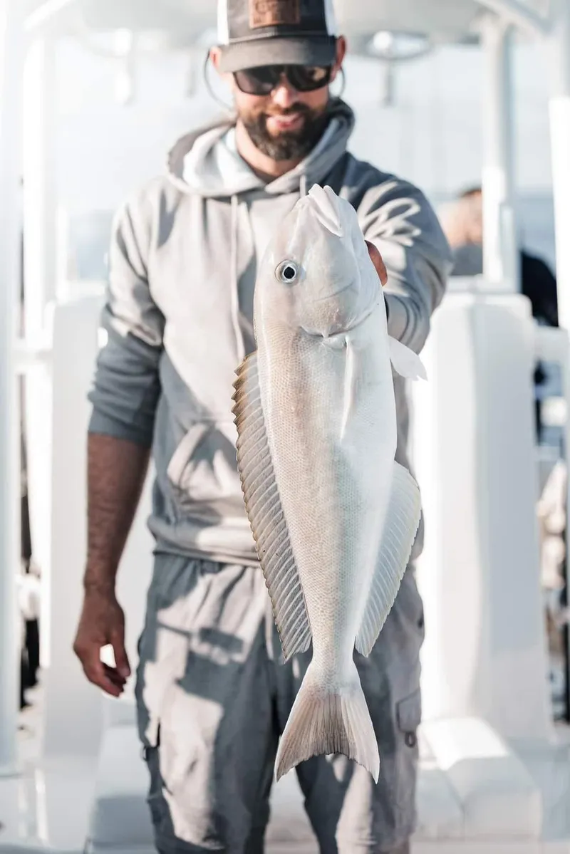 Slide: The Image of CG Boat Works 35 M-Series 2023 - 156