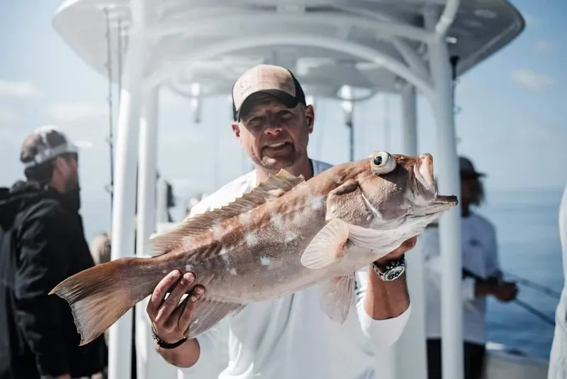 Slide: The Image of CG Boat Works 35 M-Series 2023 - 162