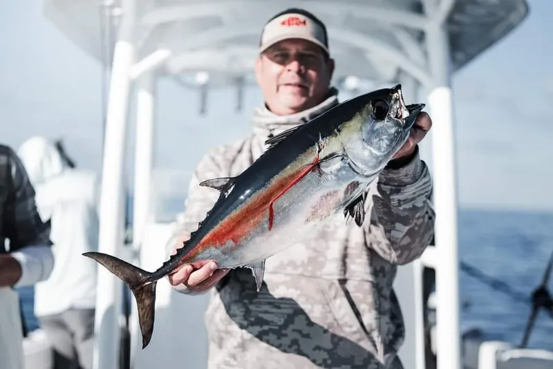 Slide: The Image of CG Boat Works 35 M-Series 2023 - 164