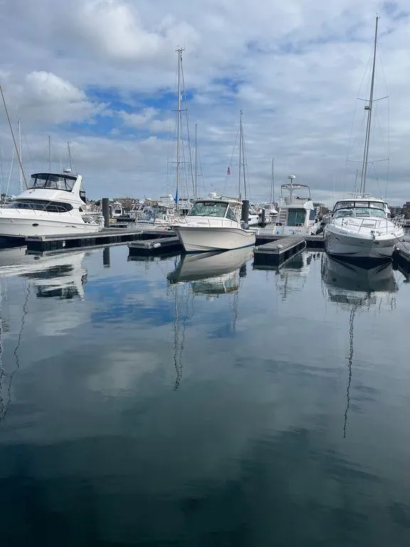 Slide: The Image of Boats docked at marina, featuring a 2020 Grady-White 330 Express. - 15