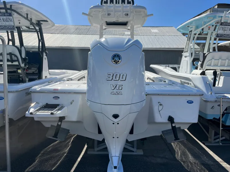 Slide: The Image of 2025 Tidewater 2500 Carolina Bay boat with 300 V6 engine displayed at a marina. - 4