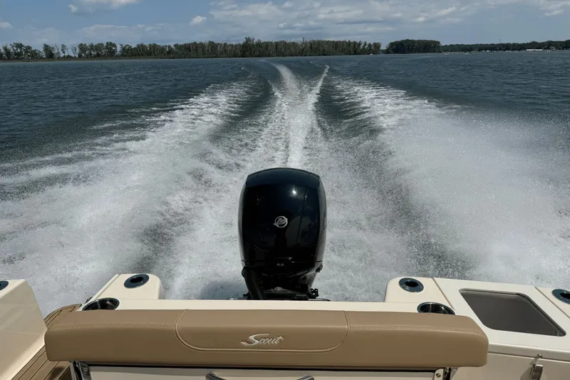 Slide: The Image of Scout 215 XSF 2024 - 18