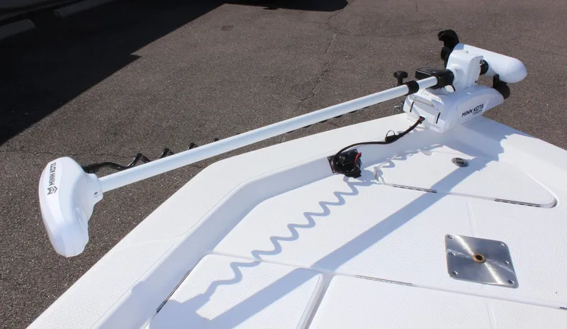 Slide: The Image of Blue Wave 2200 STL 2024 - 56