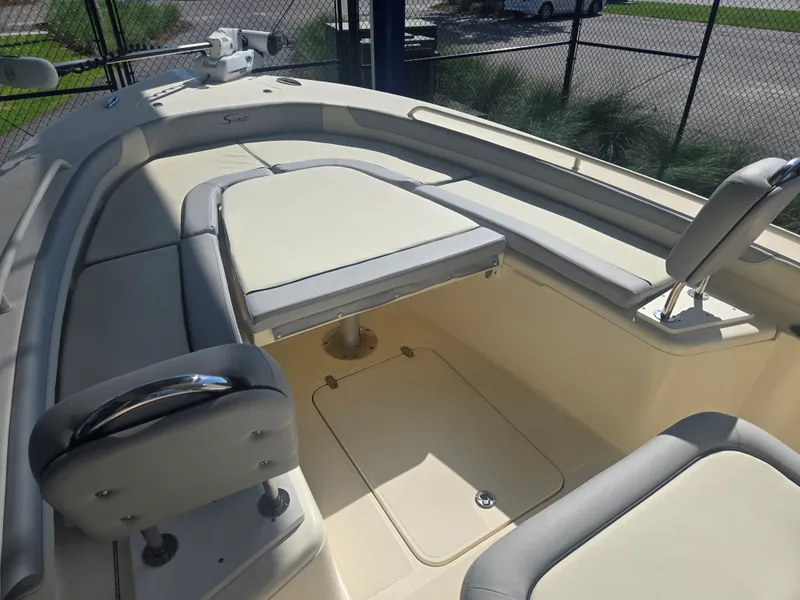 Slide: The Image of Scout 251 XS 2017 - 10