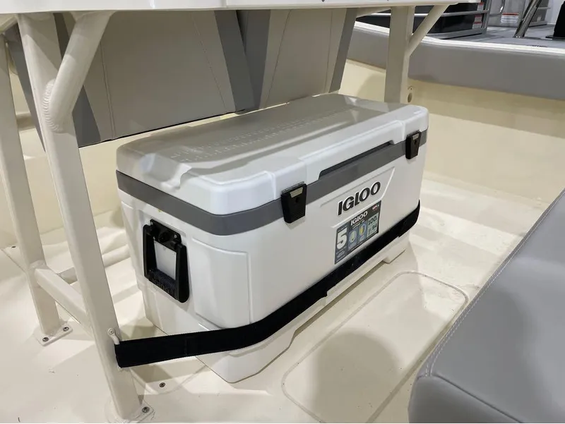 Slide: The Image of Scout 240 XSF 2024 - 11