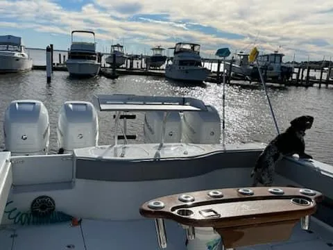 Slide: The Image of A 2020 Freeman 42 LR boat docked, with a dog on board, in a sunny marina. - 21