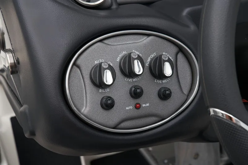 Slide: The Image of Triton 19 TrX 2024 - 30