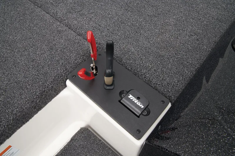 Slide: The Image of Triton 19 TrX 2024 - 34