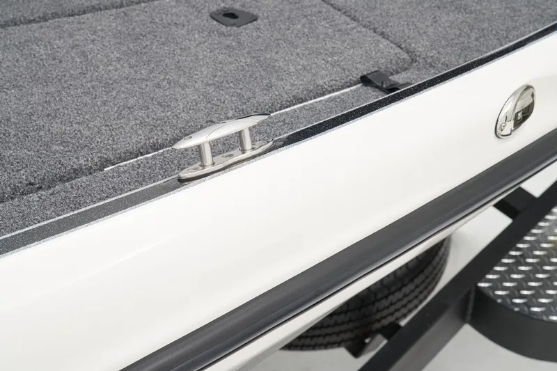 Slide: The Image of Triton 19 TrX 2024 - 45