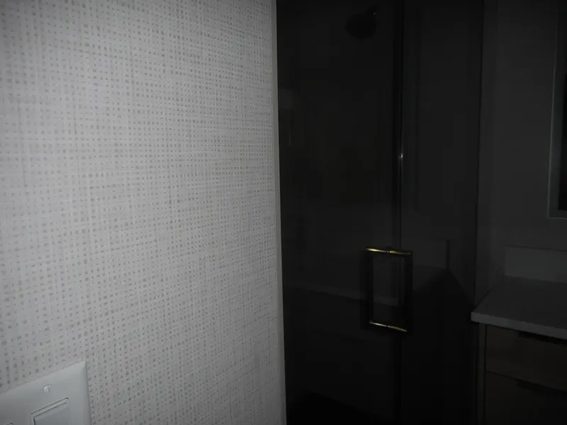 Slide: The Image of Dimly lit bathroom with textured wall, glass shower door, and countertop. Adonia Radiance Share #12, 2022. - 16
