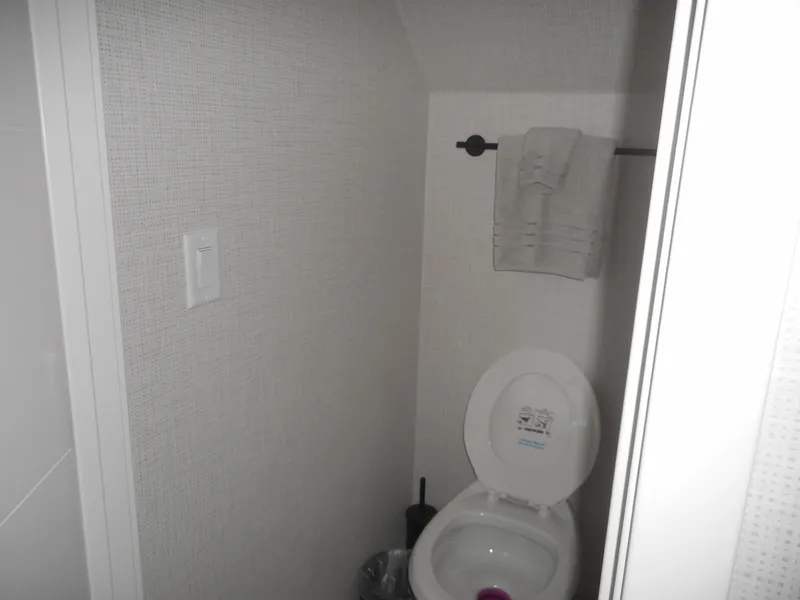 Slide: The Image of Small bathroom with toilet, towel rack, and textured walls in Adonia Radiance Share #12, 2022. - 18