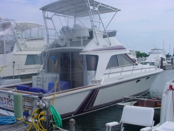 The Image of Photo 1 - 1