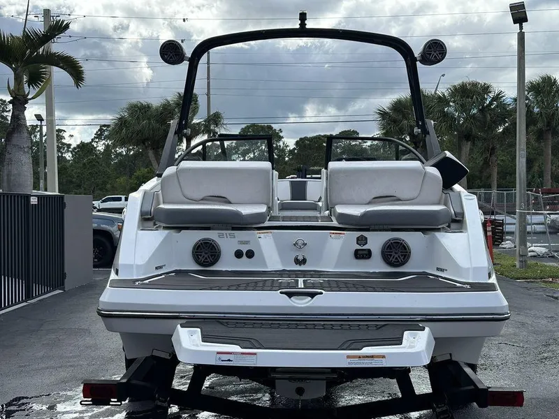 Slide: The Image of Scarab 215 ID 2023 - 2