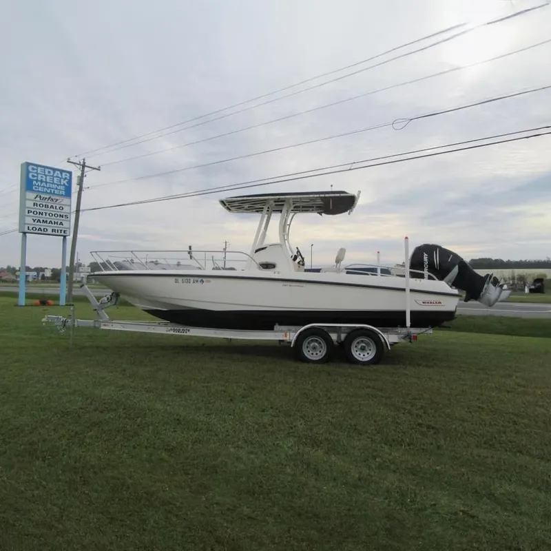 The Image of 2019 Boston Whaler 240 Dauntless boat on trailer at Cedar Creek Marina. - 0