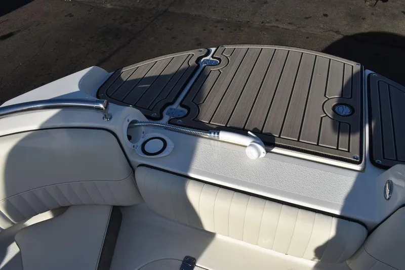 Slide: The Image of Stingray 231 DC 2024 - 74