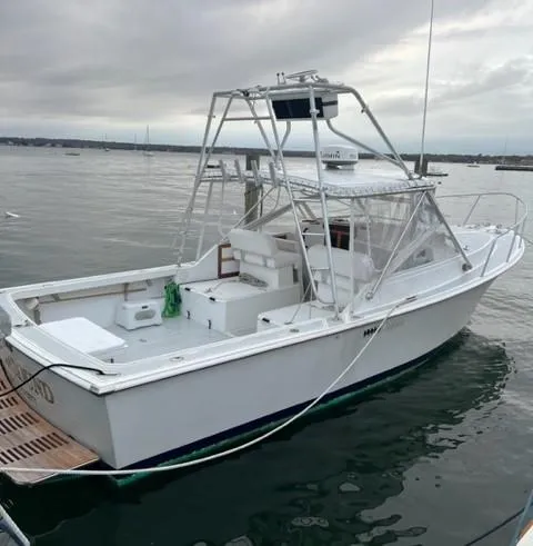 The Image of 1987 Black Watch 30 EXPRESS boat docked on a cloudy day. - 0
