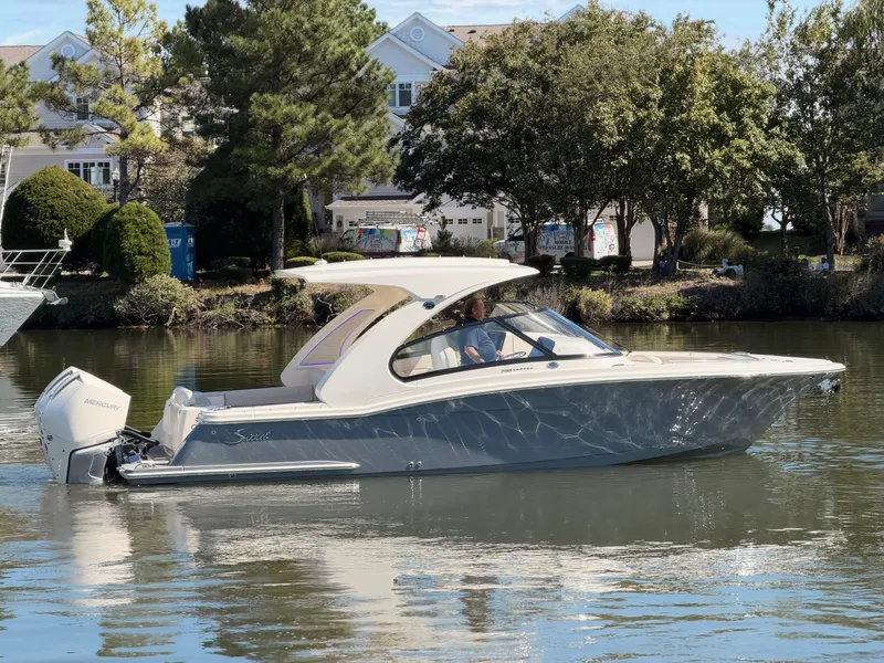 The Image of Scout 288 Dorado 2027 - 0