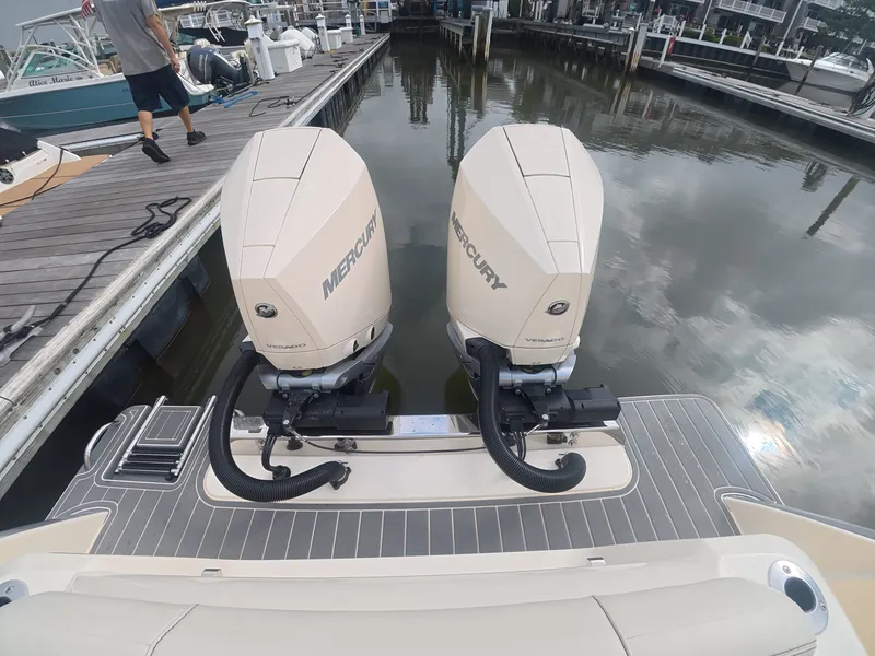 Slide: The Image of Scout 288 Dorado 2027 - 2