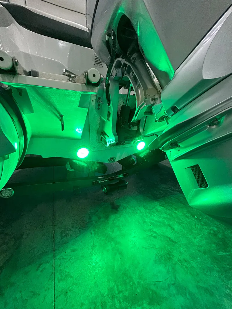 Slide: The Image of Walker Bay Venture 14 2021 - 12