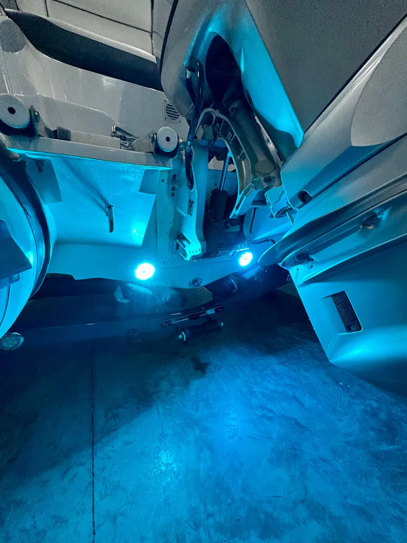 Slide: The Image of Walker Bay Venture 14 2021 - 14