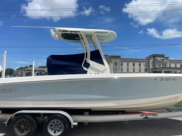 Slide: The Image of Boston Whaler 250 DAUNTLESS 2021 - 24