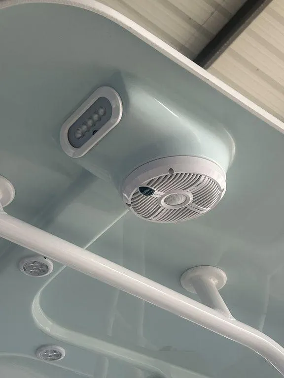 Slide: The Image of 2024 BlackJack 256 Bay boat ceiling with speaker and light fixtures. - 19