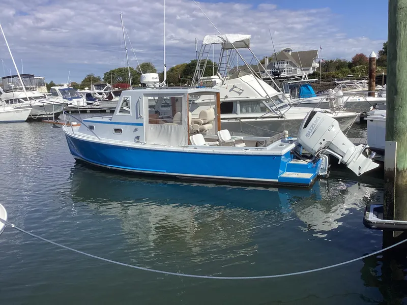 Slide: The Image of Ellis Downeast Hardtop 1993 - 48