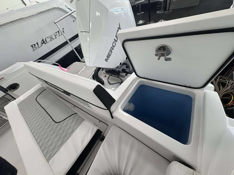 Slide: The Image of Blackfin 222 CC 2026 - 17