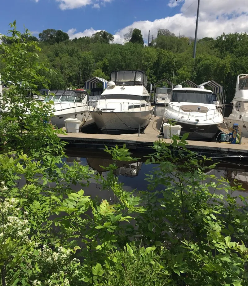 The Image of 1990 Mainship Mediterranean yacht docked among greenery and other boats under a blue sky. - 1