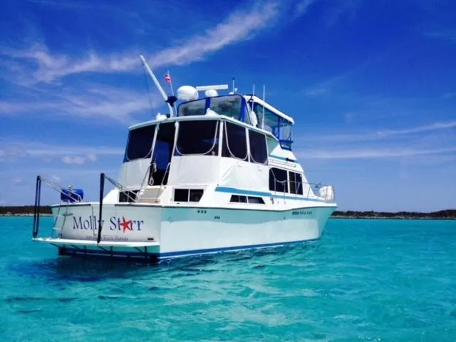 Slide: The Image of Chris-Craft 480 Catalina 1988 - 2