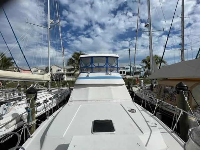 Slide: The Image of Chris-Craft 480 Catalina 1988 - 26