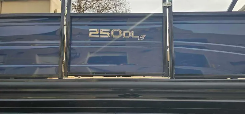 Slide: The Image of 2024 Regency 250 DL3 boat side view with model emblem. - 2