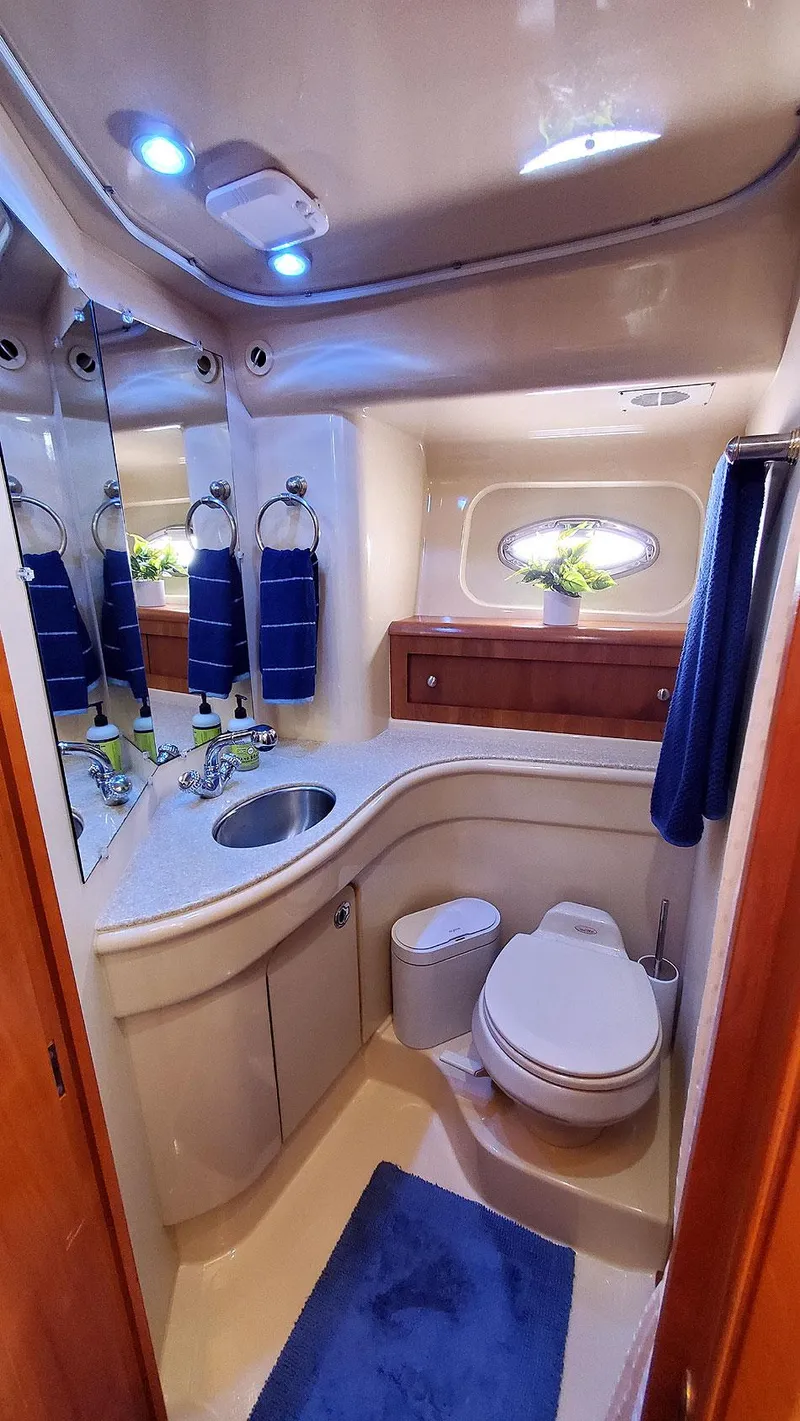 Slide: The Image of VIP Wet Head - 20