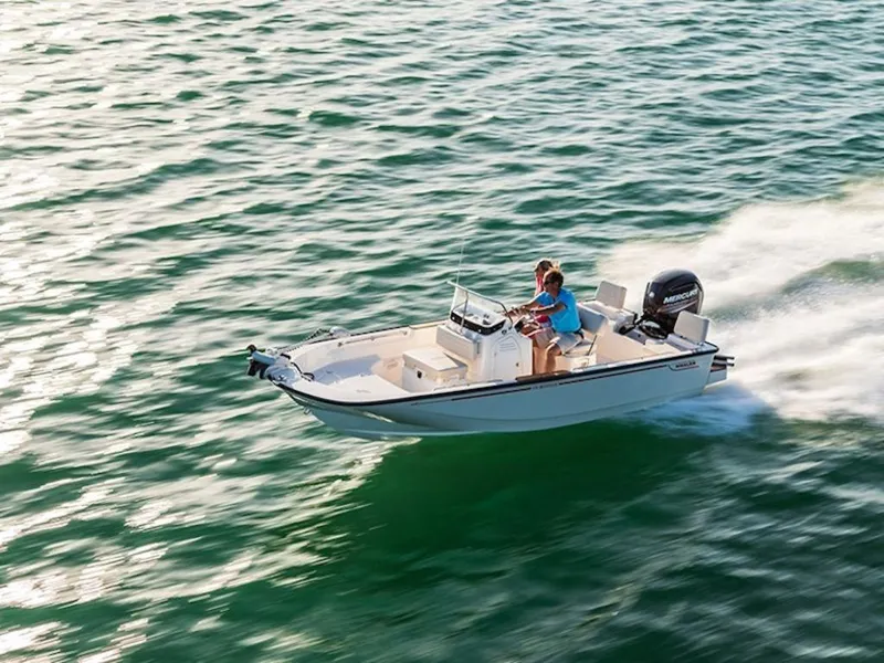 Slide: The Image of Boston Whaler 150 Montauk 2025 - 5