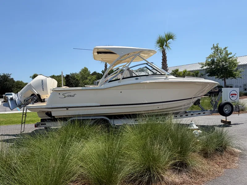 Slide: The Image of Scout 255 DORADO 2024 - 3