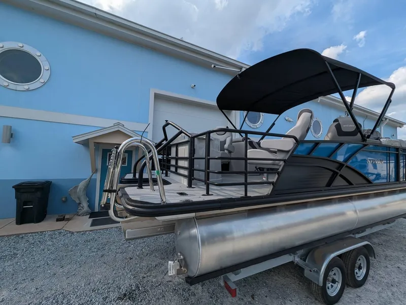 Slide: The Image of Sylvan L-3 Party Fish 2024 - 3