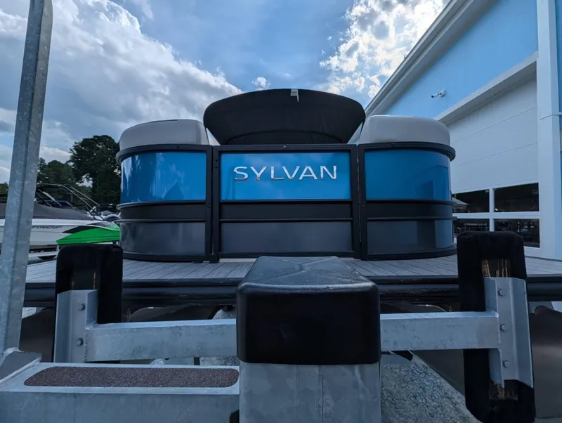 Slide: The Image of Sylvan L-3 Party Fish 2024 - 4